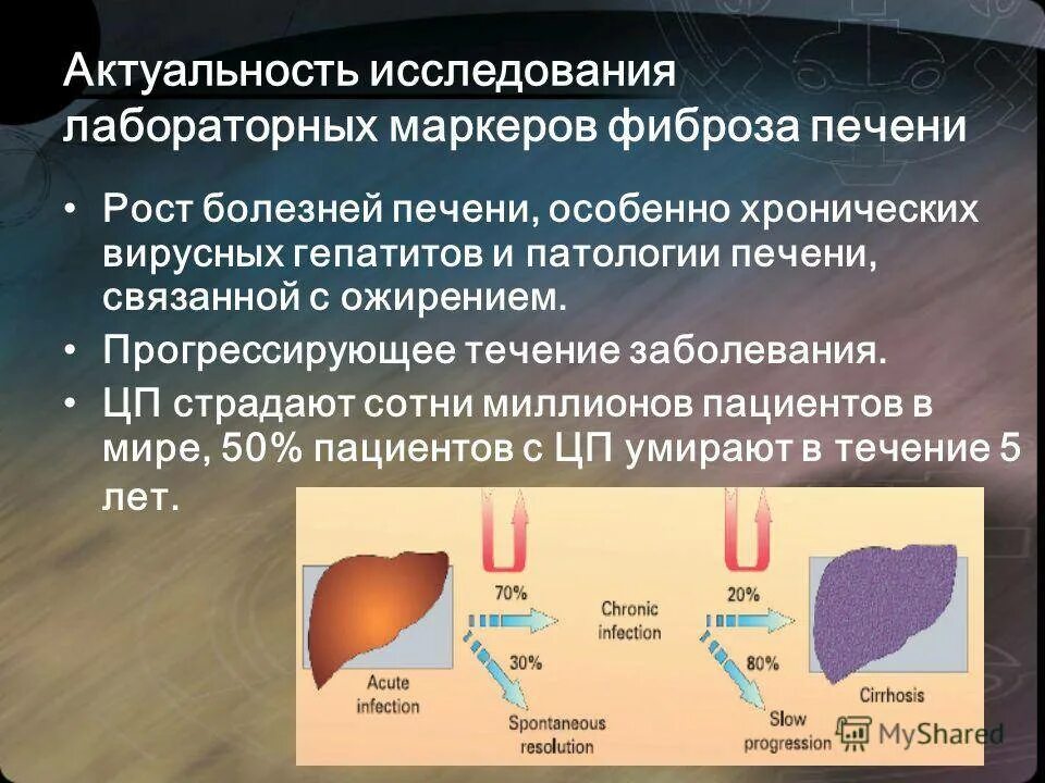 Методы диагностики фиброза печени. Эластометрия степени фиброза. Лабораторные исследования печени. Лабораторные маркеры патологии печени. Фиброз печени 2 степени лечение