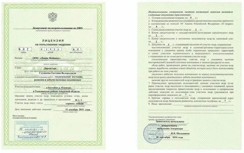 Форма условий пользования недрами