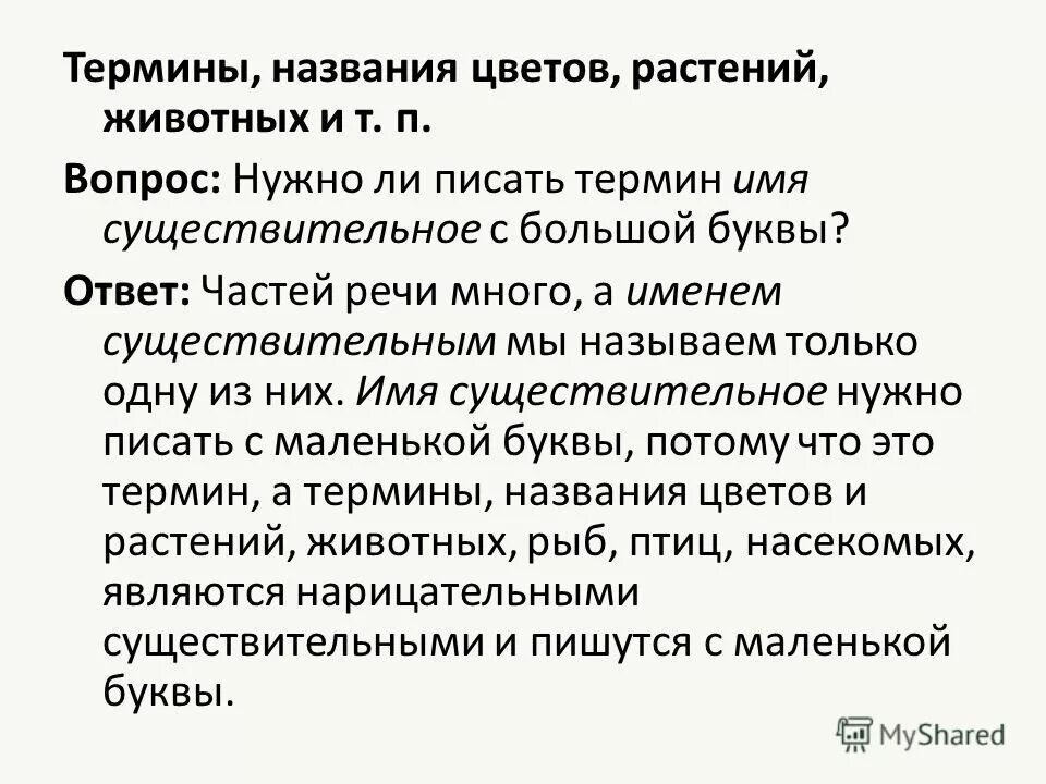 Термин имя человека. Мямя. Мя. Важность имени человека. Термин имя человека.