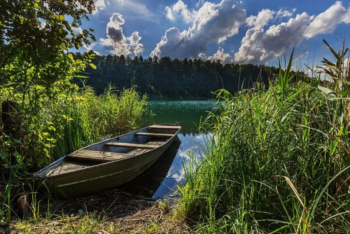 Лодка на озере. Lodki lodki. Лодка на озере. Лодка у берега. Лодки на селигере.