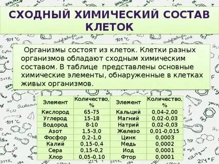 Сходный химический состав клеток всех живых организмов