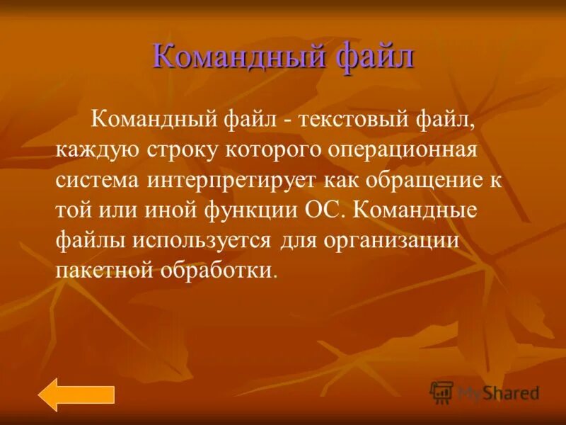 Командный файл. Пакетные командные файлы. Pdb формат. Структура командных файлов. Командный файл.