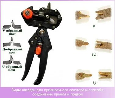 Как пользоваться прививочным секатором