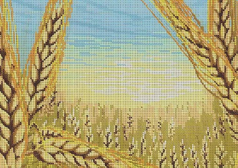 Цепи пшеничного поля