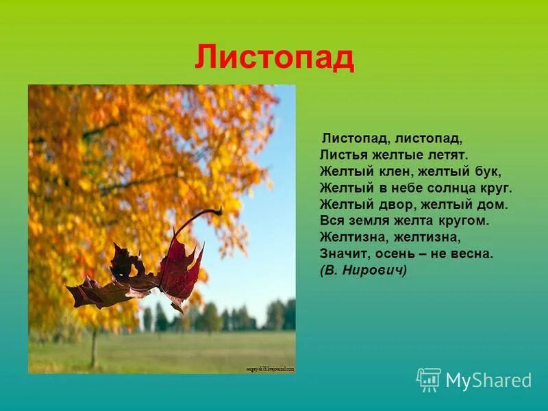 Листопад листопад листья желтые летят автор. Листопад листопад листья желтые. стихотворение листопад. листопад для детей. стих про листопад для дошкольников.