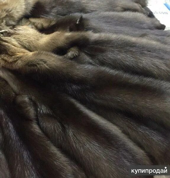 Куний мех. Соболь норка куница. мех соболя. выделанный соболь.