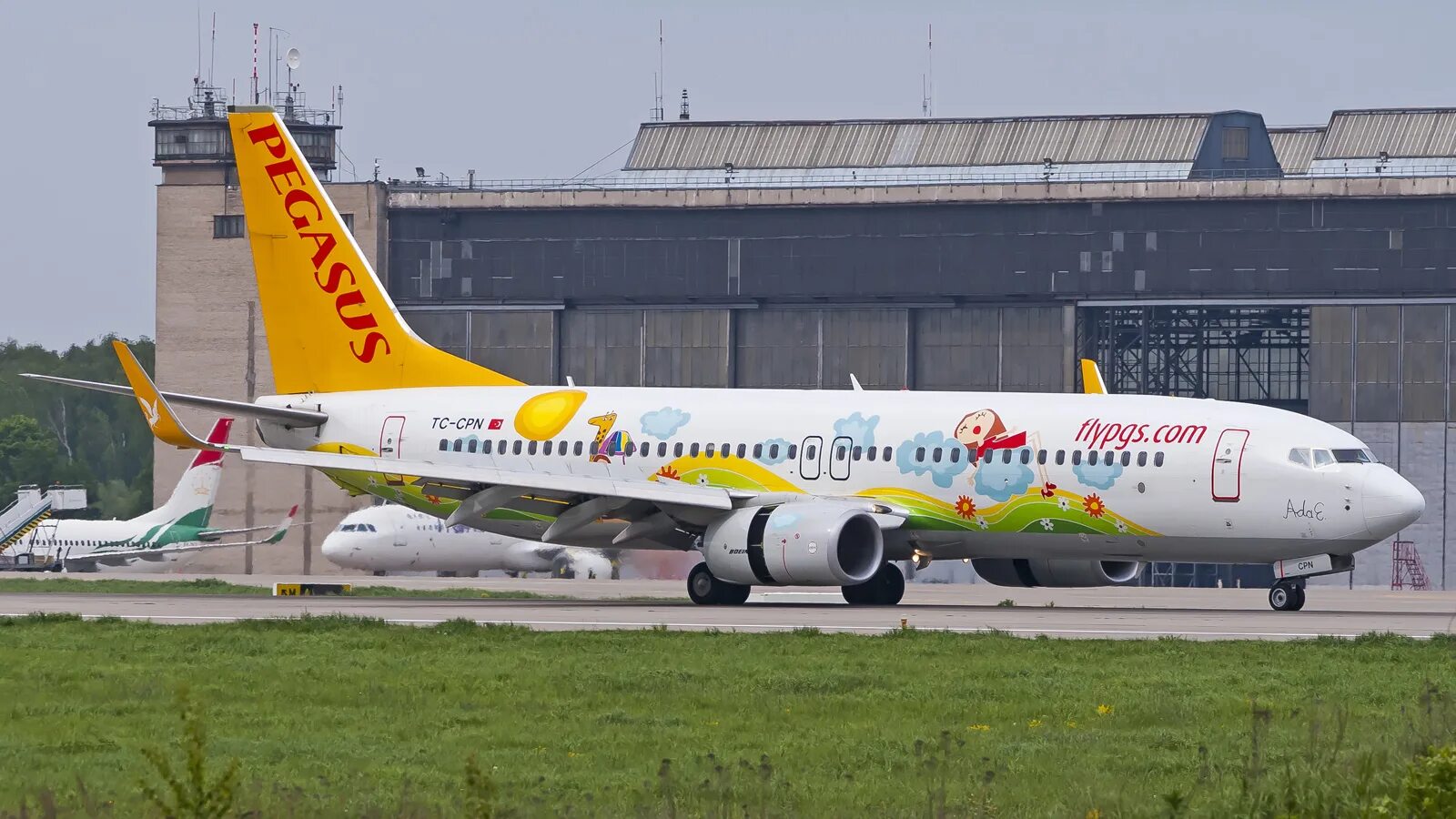 Авиакомпания Pegasus Airlines. Пегасус Эйрлайнс самолеты. Пегасус Аирлинес. Пегасус авиакомпания Pegasus Airlines. Pegasus авиакомпания сайт