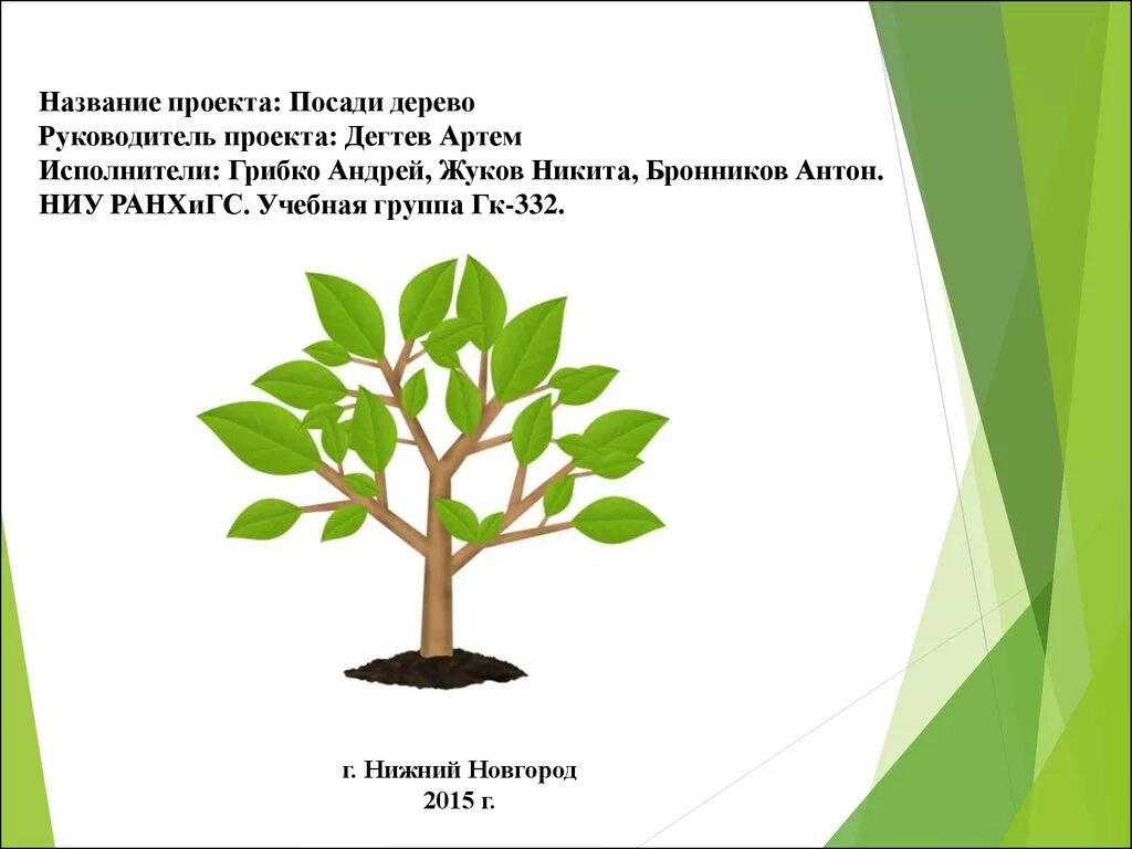 Проект высадки деревьев. Проект посадка деревьев. Посадка деревьев слайд. Проект по посадке деревьев. Дерево посажено впр 8 класс