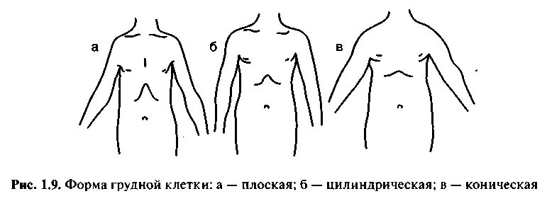 Соматоскопия форма грудной клетки. Сечение цилиндра. Трехмерные фигуры. Деталь из конусов и цилиндров. Коническая плоская цилиндрическая.