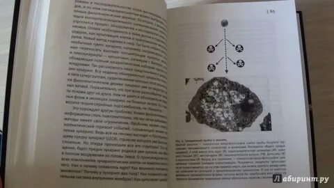 Вопросы жизни книга