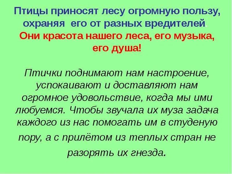 Какую пользу приносят птицы человеку. Какую пользу принося птицы. Какую пользу приносят птицы лесу. Какую пользу приносит лес. Польза приносимая птицами