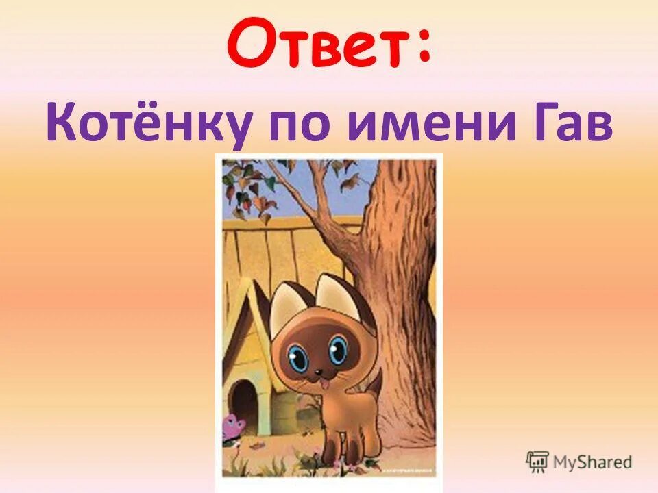 загадки про котов для детей.