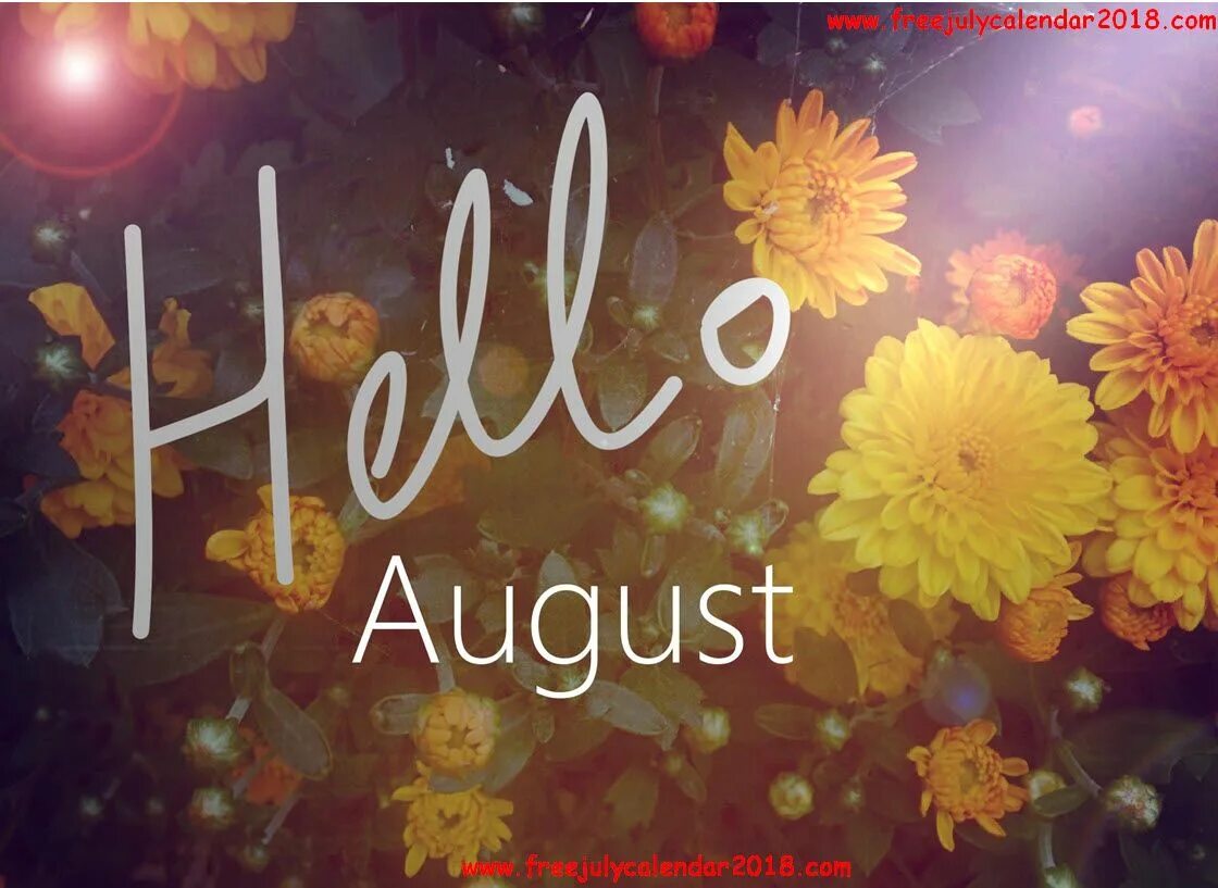 Hello age. Август надпись. Hello August картинки. August надпись. Привет август.