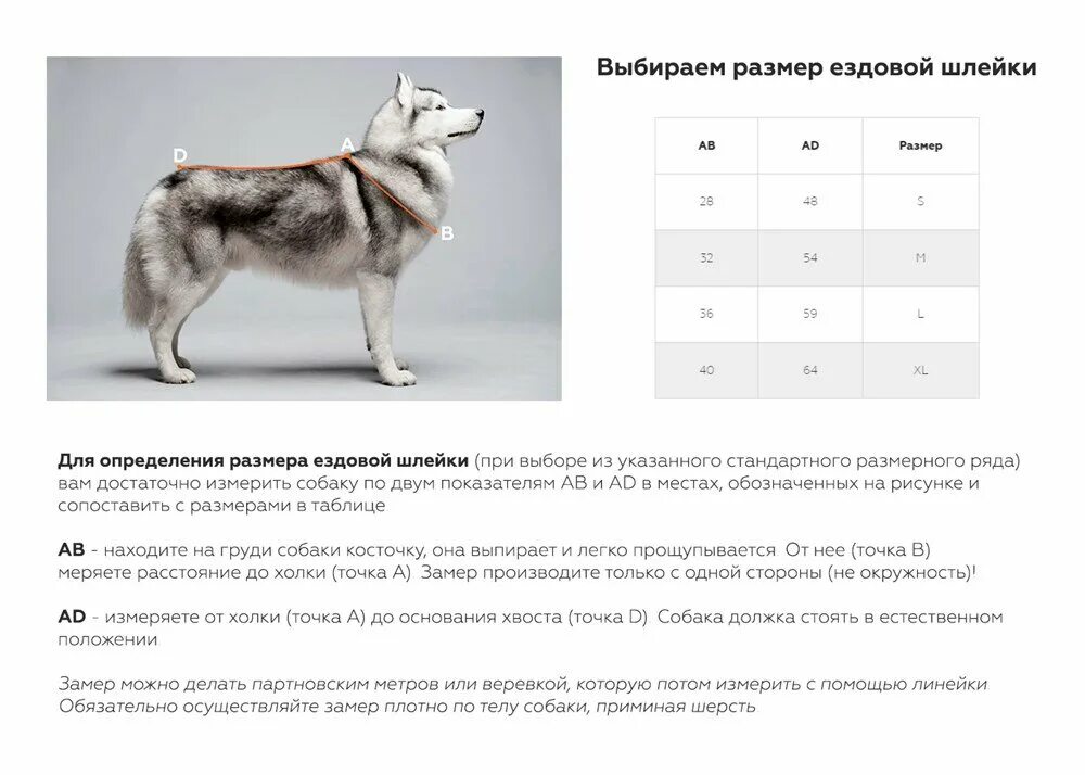 Как подобрать шлейку для собаки. Размер шлейки для собак таблица размеров. Размер шлейки для собак таблица размеров хаски. Ferplast шлейка для собак Размерная сетка. Размерная сетка ошейников для собак.