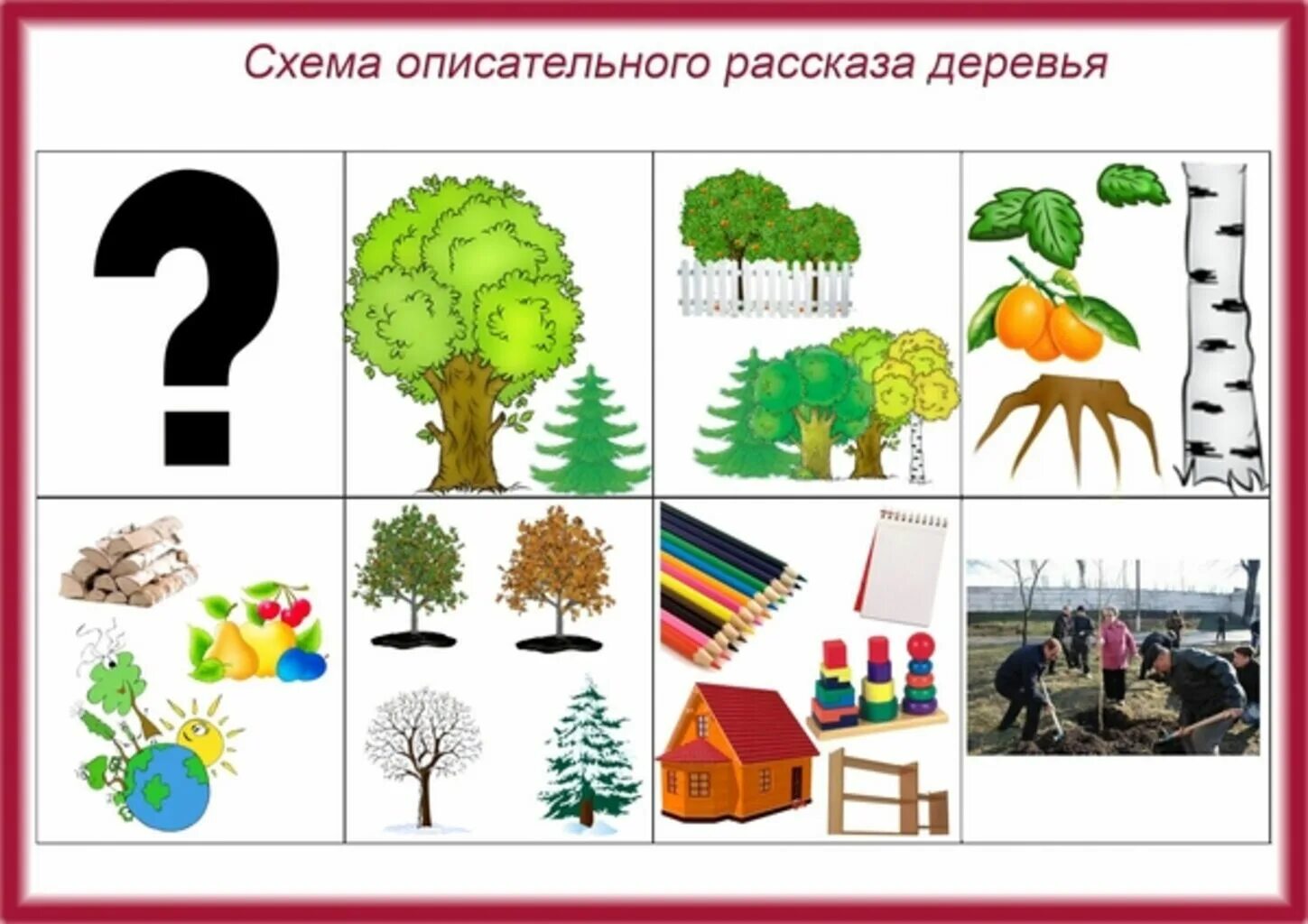 Схема описания дерева. Схемы для составления рассказов. Алгоритм описания дерева для детей. Схема описания дерева для дошкольников