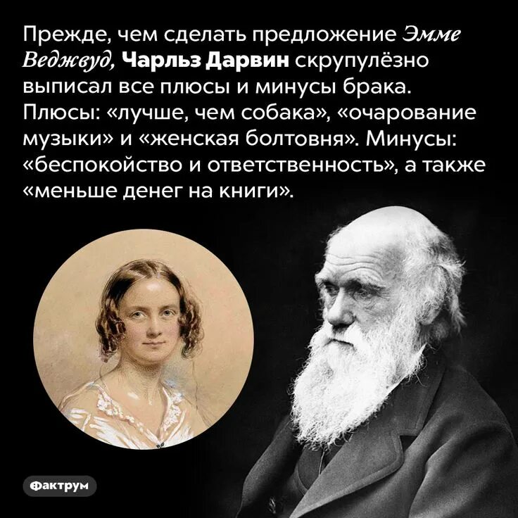 Дарвин сеть. Darwin plus. Дарвин портрет. Дарвин плюс. Дарвин садовый центр симферопольское шоссе.