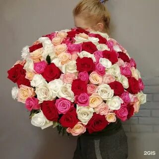 Розы таганрог