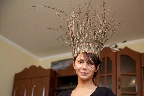 Прическа гнездо
