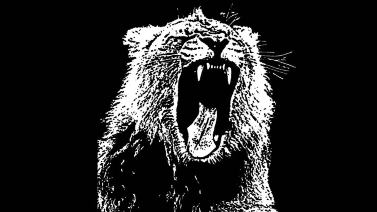 Animals maroon 5 обложка. Песня animals maroon 5. Maroon 5 "v". Песня animals maroon 5. Песня анимал.