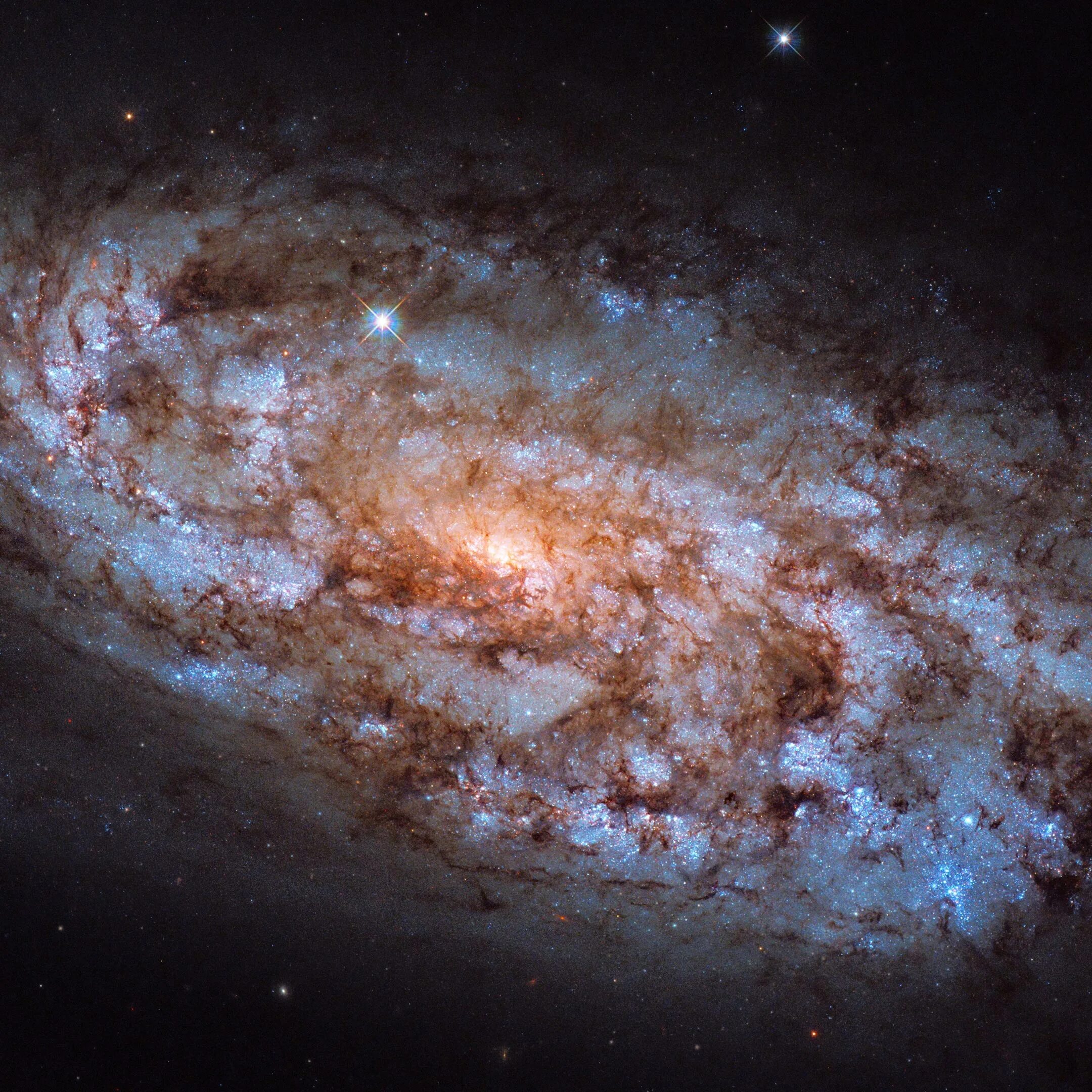 Спиральная Галактика NGC 3521. Галактика NGC 7674. Галактика NGC 4449. Галактика NGC 1808. Как далеко можно увидеть