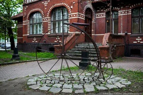 Зеленоградск музеи