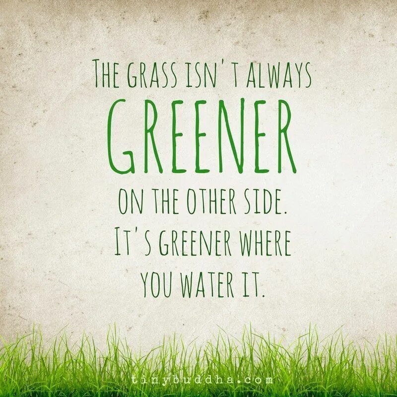 Grass greener on the other side. The grass is always greener on the other side. the grass is always greener on the other side of the fence. the grass was greener. the grass is always greener on the other side of the fence meaning.