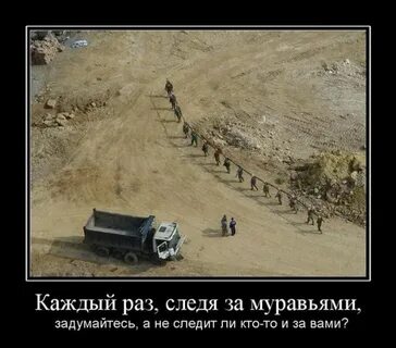 Раз следить