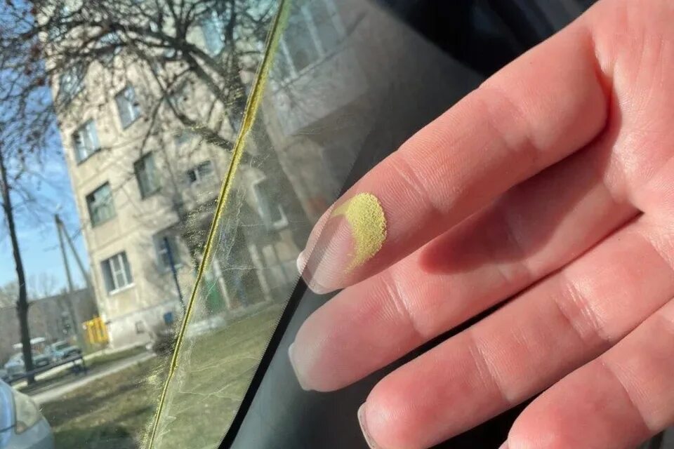 Желтая пыльца на машине. Зеленая пыльца на машинах. Желтая пыль в НСК. Желтая пыль в Анапе. Пыль пыльца