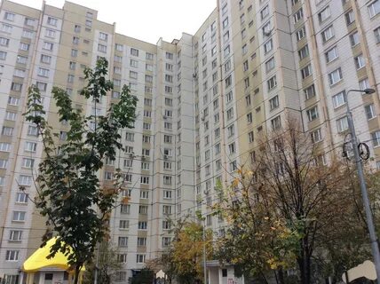 Д 8 москва