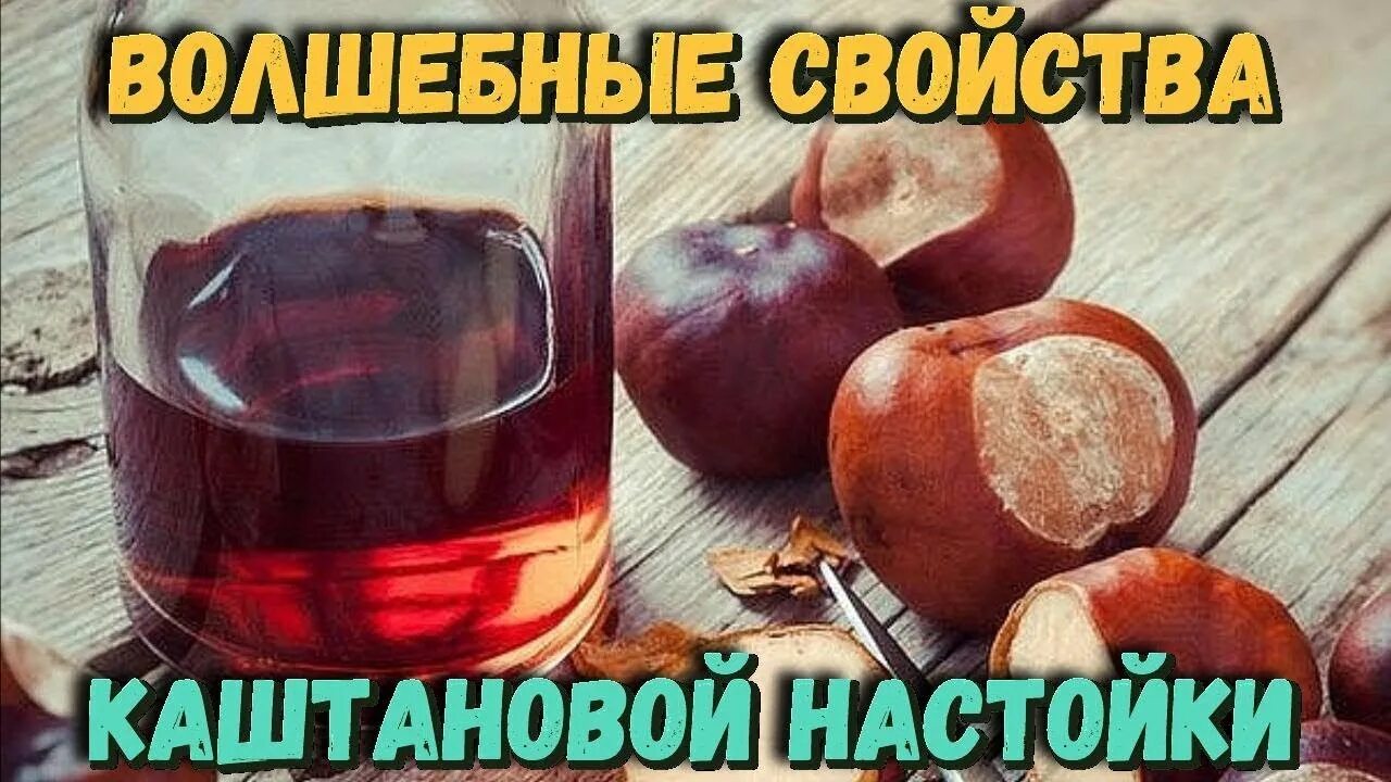 Настой из конского каштана. Из каштана растирка. Отвар из каштанов. Мази из каштана для суставов. Настойка из каштана для суставов.
