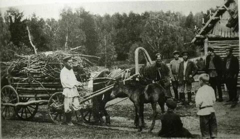 Земельный вопрос 1905