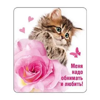 Меня надо обнимать песни