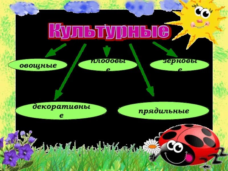 Презентация растение 2 класс окружающий мир. Культурные растения. Дикорастущие и культурные растения. Технические культурные растения. Растения 2 класс.