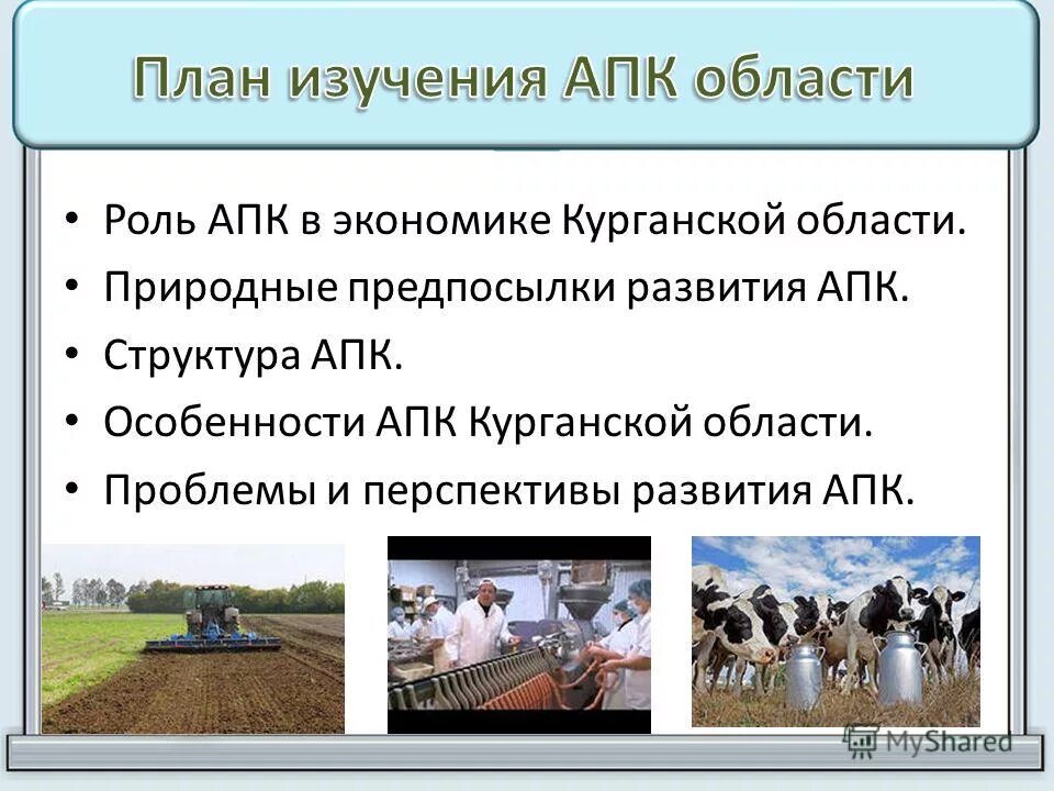 перспективы развития сельского хозяйства. проблемы агропромышленного комплекса. основные проблемы развития апк. перспективы развития апк в россии. проблемы и перспективы агропромышленного комплекса.