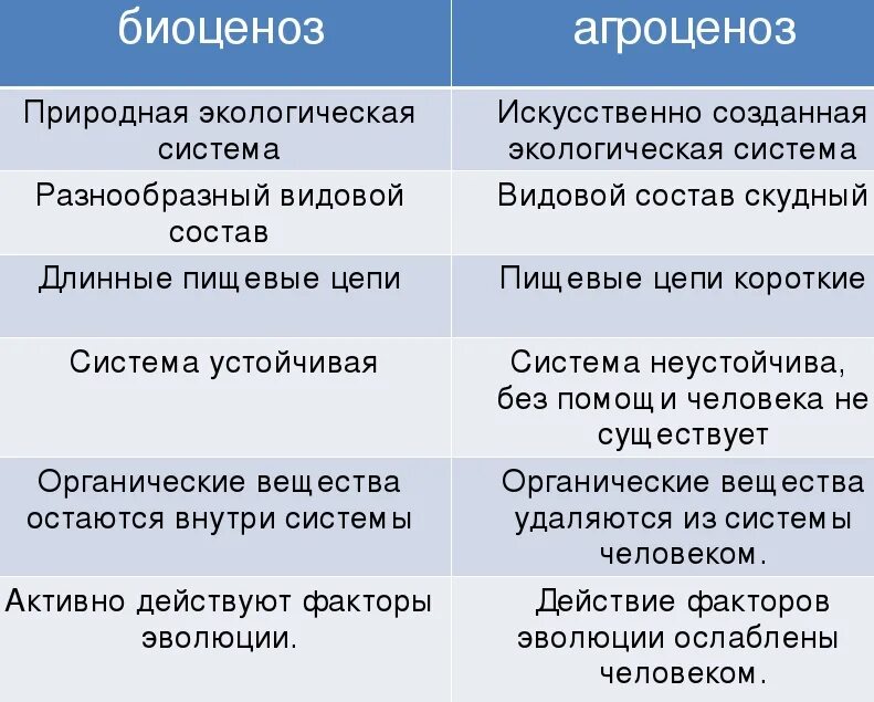 Что общего в природных