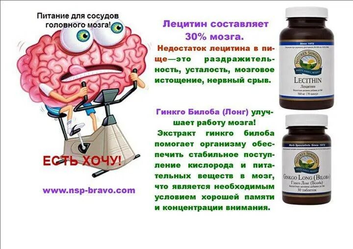 Продукты для мозга и сосудов. Лекарства укрепляющие сосуды головного мозга. Витамины полезные для мозга. Средства расширяющие сосуды головного мозга. Продукты для сосудов головного мозга для улучшения кровообращения.