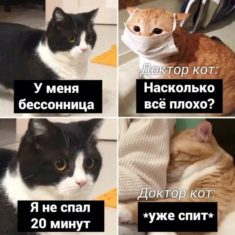 Насколько все плохо. Котик доктор. Кот доктор Мем. Смешные картинки с котами. Мемы против котов.