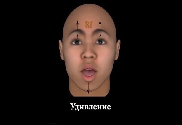 Презрение жизнь
