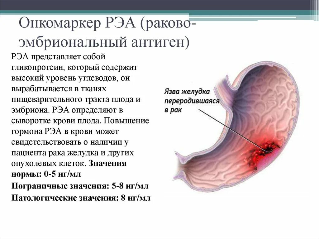 Анализ рэа у мужчин. Раково-эмбриональный антиген (РЭА). Cea Раково эмбриональный антиген норма. Эмбриональные антигены. РЭА онкомаркер.