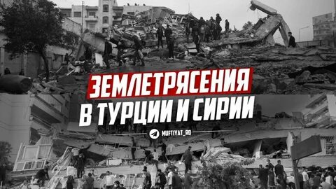 Страшная беда
