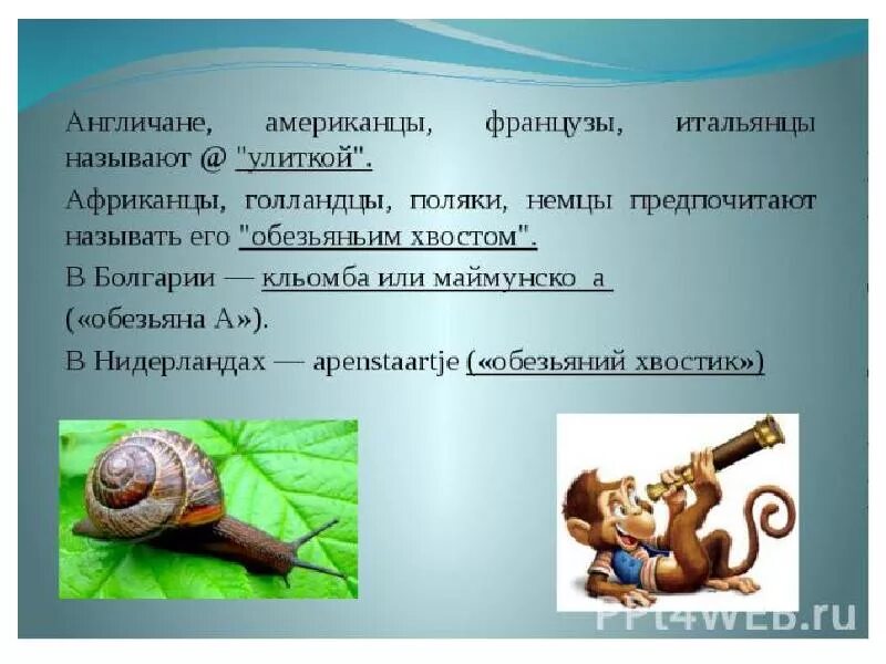 Как называют китайцы немцы итальянцы французы. Как называется @в других странах. Как называется символ @в разных странах. Как в разных странах называется значок&. Как называют знак &.