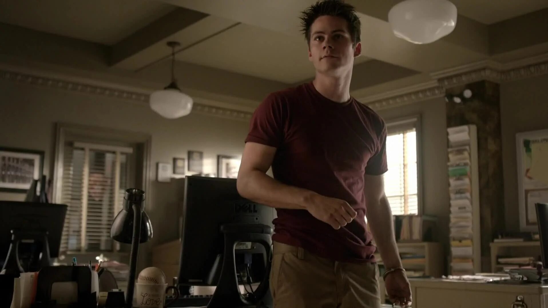 дом волчонка