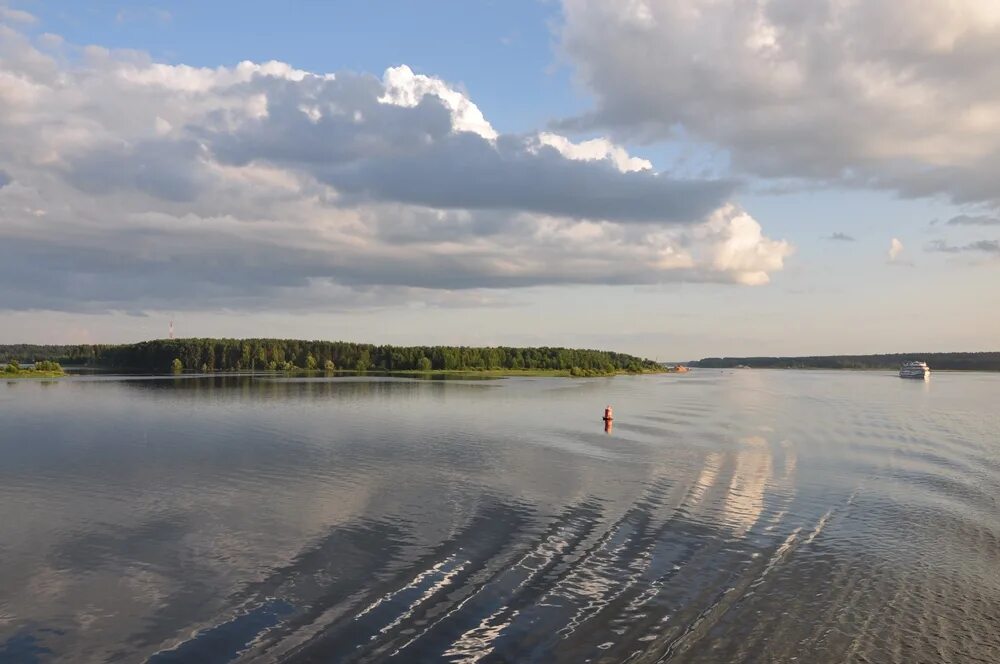 Рыбинка Рыбинское водохранилище. Рыбинское водохранилище озёра Вологодской области. Остров Раменье Рыбинское водохранилище. Дарвинский заповедник Рыбинское водохранилище.