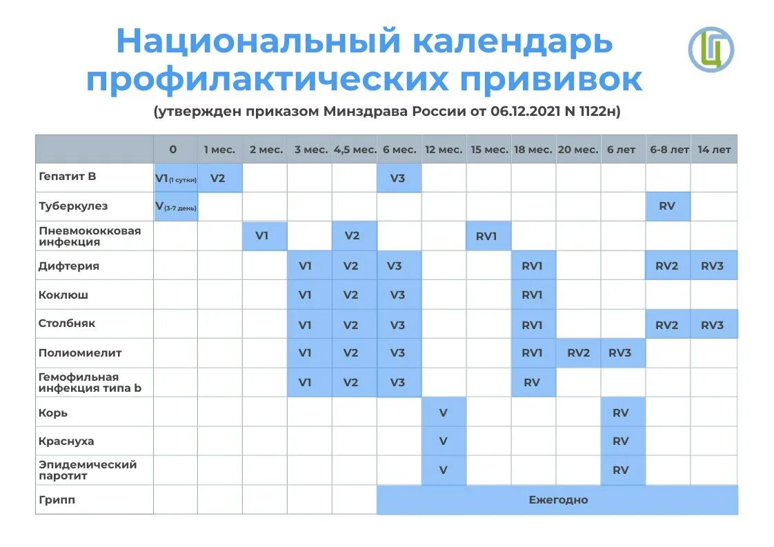 Вакцинация календарь прививок 2023. Национальный календарь профилактических прививок 2023 таблица. Национальный календарь прививок для детей до 1 года в РФ. Национальный календарь прививок для детей в России 2024 года.