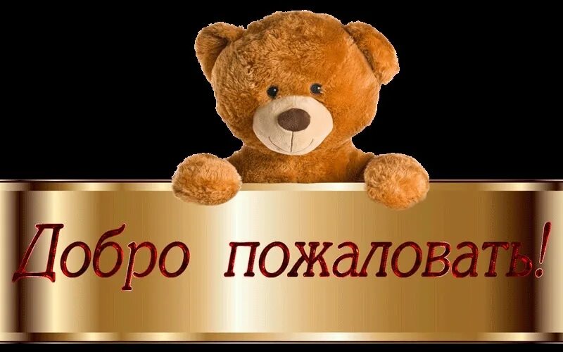 Куда добро пожаловать. Куда добро пожаловать. Табличка "добро пожаловать". Добро пожаловать надпись красивая. Куда добро пожаловать.