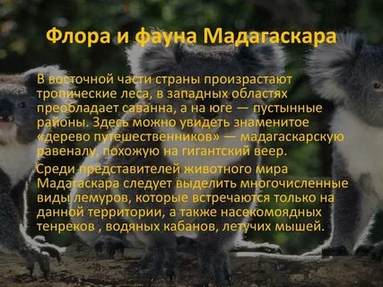 План описания мадагаскара