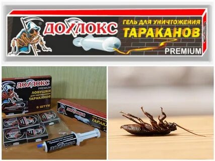 Самое лучшее средство для уничтожения тараканов
