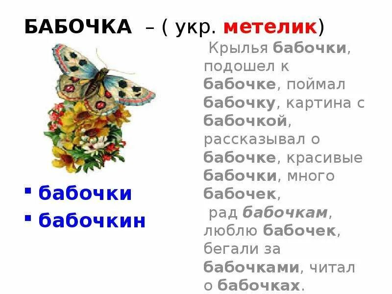Словарные слова в картинках. От какого слова произошло слово бабочка. Откуда произошло слово бабочка. Словарное слово коллекция в картинках. Словарное слово русский.