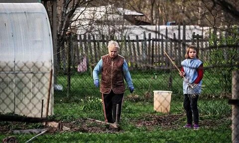 Между городом и дачей последние