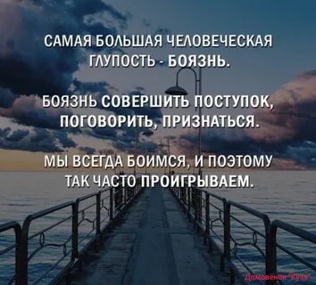 Глупость людскую